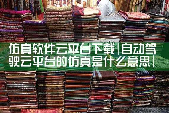 仿真软件云平台下载|男娘日记