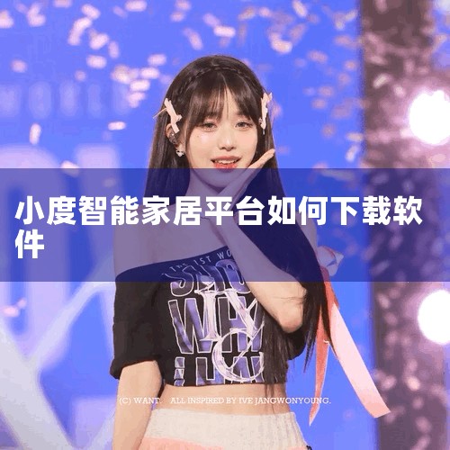 对于系统版本在1.24以下的小度在家音箱，用户可以尝试使用OTG方式本地安装APP。具体步骤包括：使用手机或者U盘连接小度在家，将下载好的当贝市场.apk文件复制到小度在家的目录下进行安装。安装好当贝|