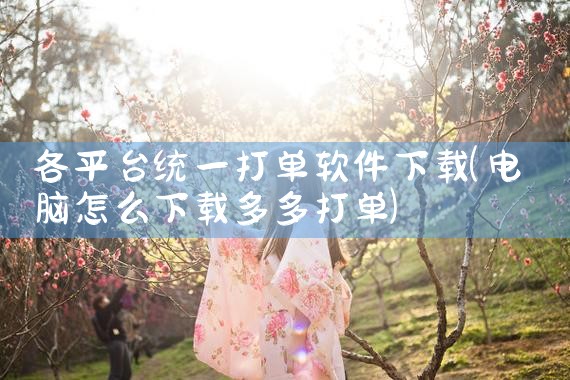 各平台统一打单软件下载