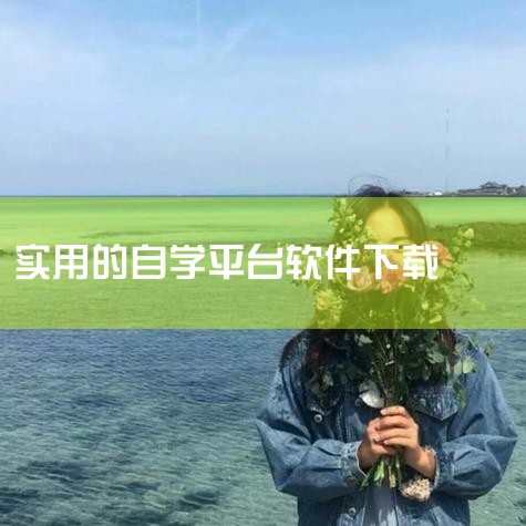 哪个自学软件下载,电脑学习软件下载, 如何下载学习软件,给大学生推荐的自学网站(App),怎么下载天天自学网窗口工具,我要自学网电脑版怎么下载,男娘日记