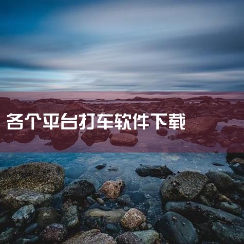 打车平台主要有以下这些软件：首汽约车：简介：由首约科技有限公司开发运营的互联网约车平台。曹操出行：简介：吉利集团战略投资的互联网+新能源出行服务平台，致力于建立新能源汽车出行服务标准的专车品牌。万顺叫|糖心Vlog入口