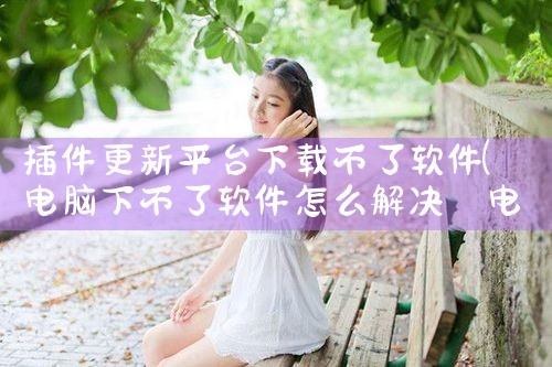 插件更新平台下载不了软件