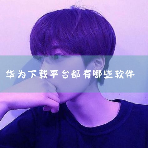 云客工作手机系统？,华为手机有哪些软件,华为公司开发的软件还有那些,华为预装软件有哪些,华为自带的应用市场都有哪些?,男娘日记