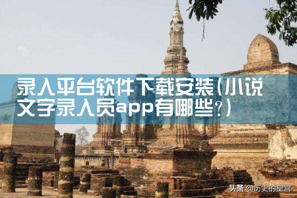 录入平台软件下载安装|男娘日记