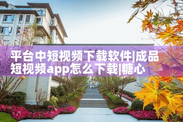 平台中短视频下载软件|糖心Vlog入口