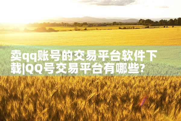 卖qq账号的交易平台软件下载