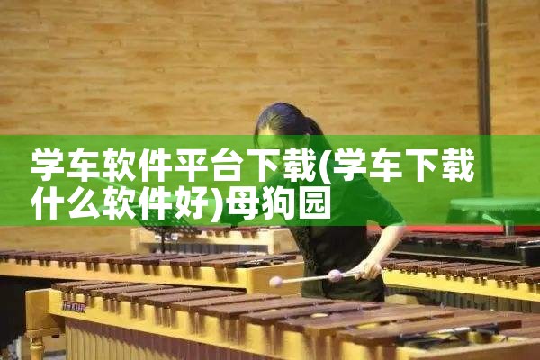 学车软件平台下载|母狗园