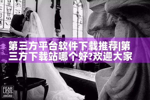 第三方平台软件下载推荐