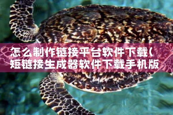 怎么制作链接平台软件下载|男娘日记
