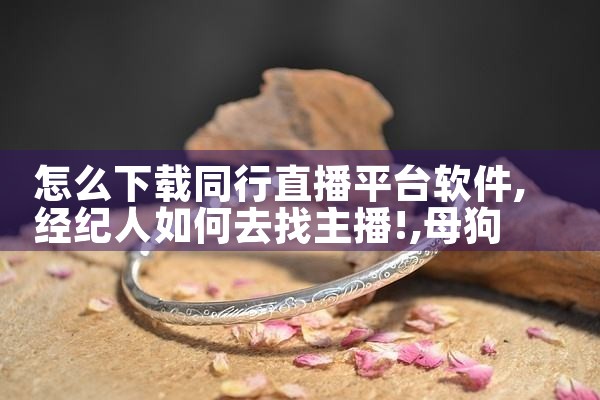 怎么下载同行直播平台软件|母狗园