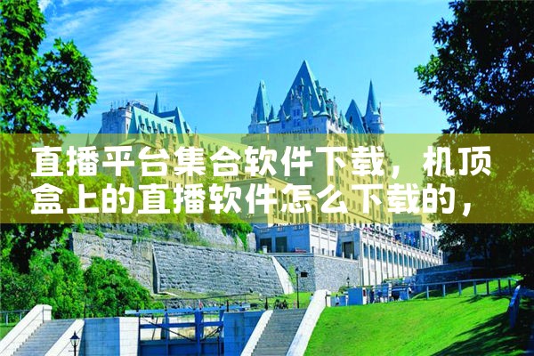 招聘软件下载平台|糖心Vlog入口
