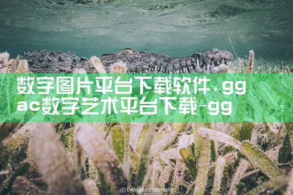 数字图片平台下载软件|男娘日记