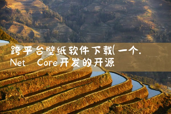 跨平台壁纸软件下载|糖心Vlog入口