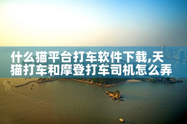 什么猫平台打车软件下载|母狗园