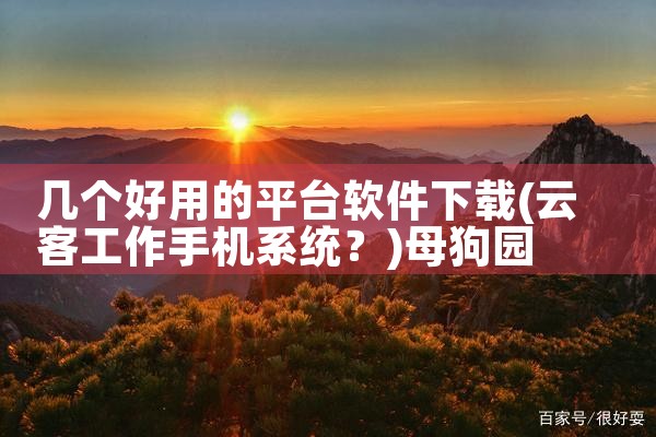 几个好用的平台软件下载|母狗园